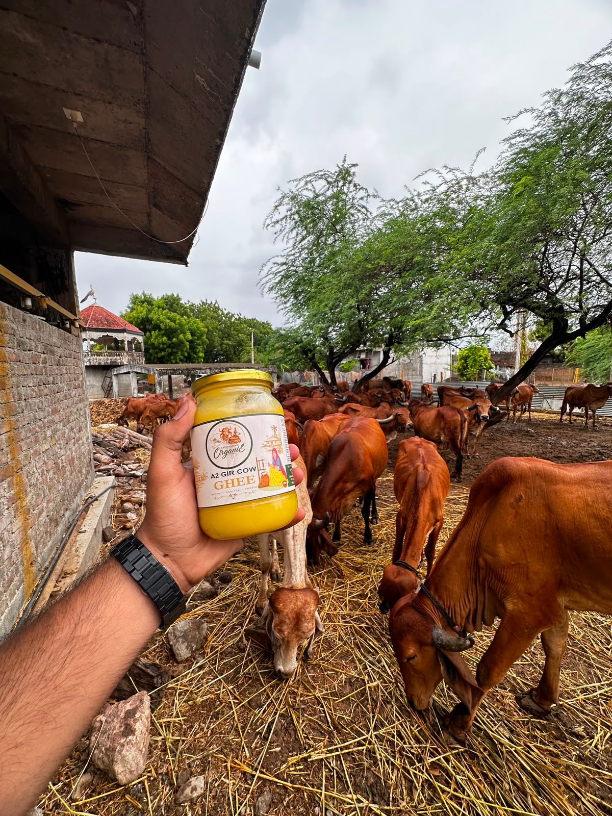 Kathiyawadi Organic Product